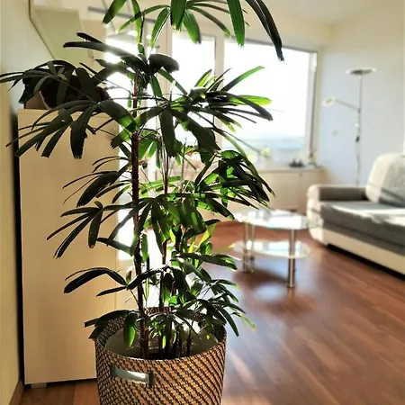New With Garage Parking Apartment *